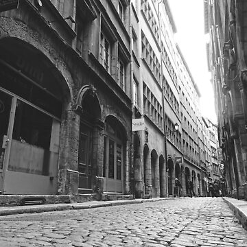 Marvelous side street in lyon france, cobble stones, city, stores