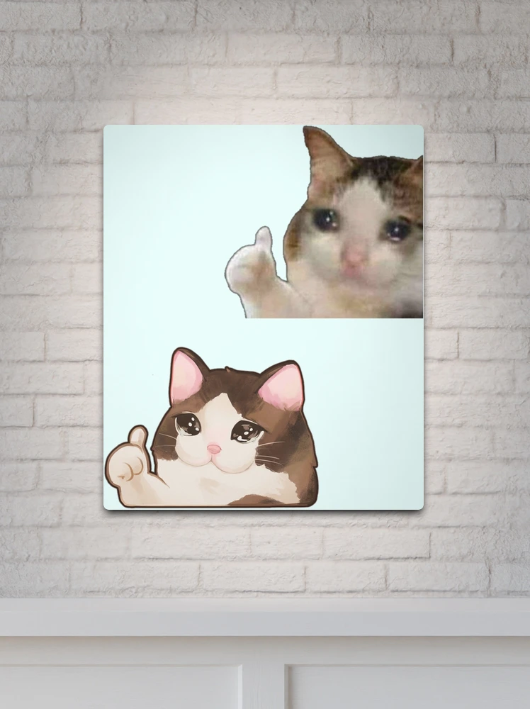 An image of the classic crying cat meme printed on anything you want to  purchase:). Thank you, money goes towards colleg…