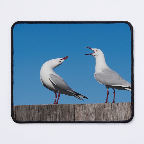Item preview, Two seagulls having a serious conversation designed and sold by hendrikspix.