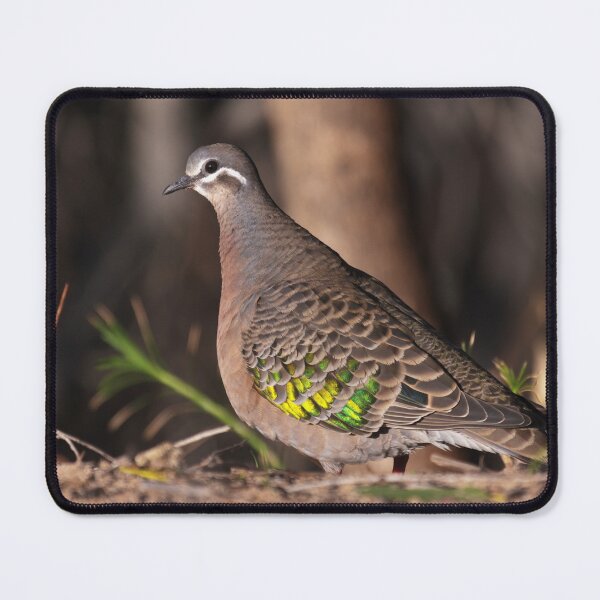 Item preview, Female bronzewing dove designed and sold by hendrikspix.