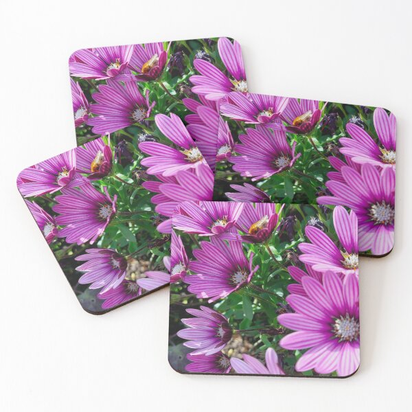 Item preview, African daisies designed and sold by Francespoppy.
