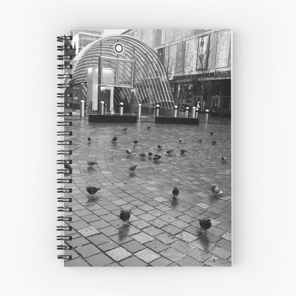 Item preview, Pigeons outside St Enoch Subway Station designed and sold by eriksownphoto.