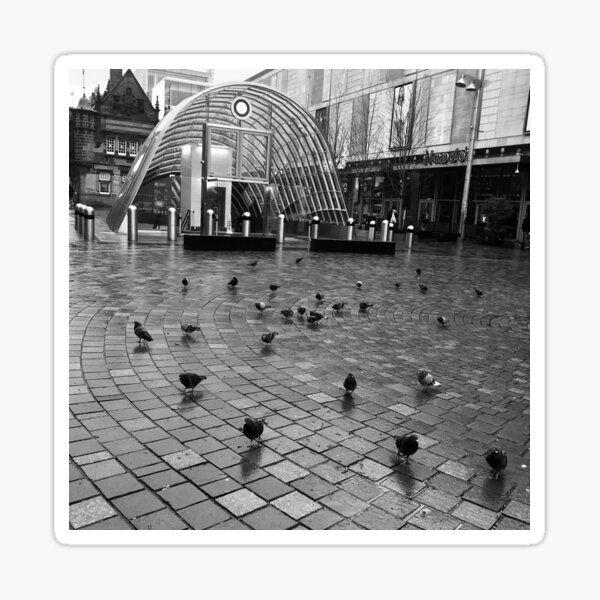 Pigeons outside St Enoch Subway Station Sticker