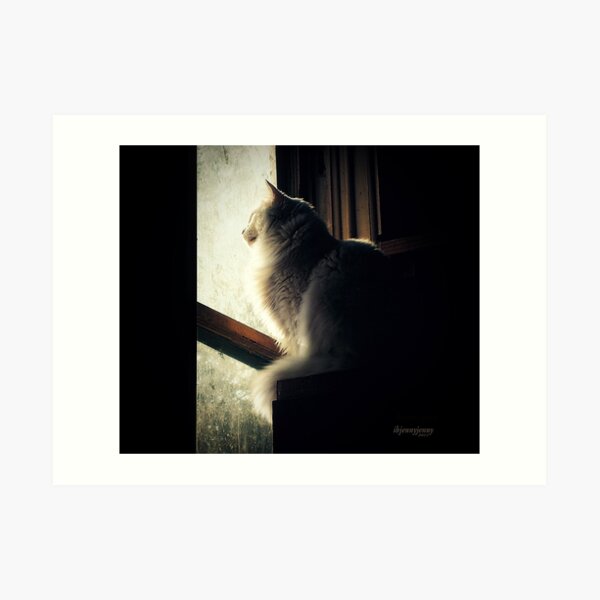 Watching Angels Fly Art Print