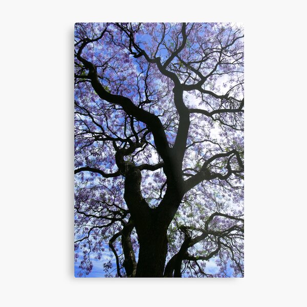 Spring In The Valley Metal Print