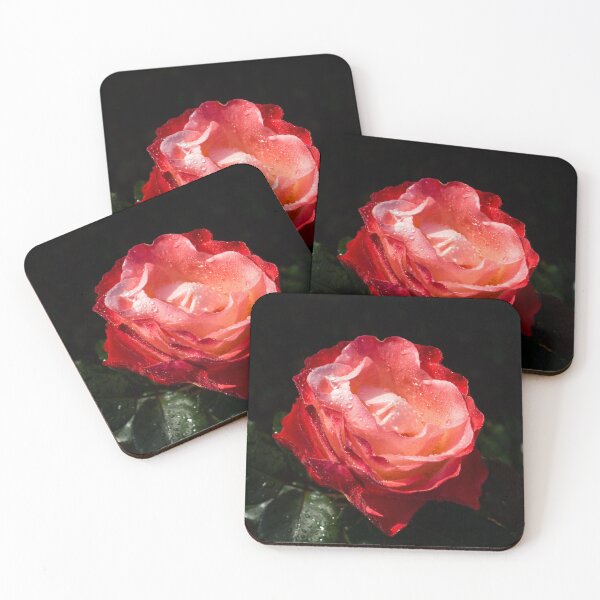 Item preview, Wet Beauty - Glorious Bicolor Rose with Raindrops designed and sold by Georgia Mizuleva.