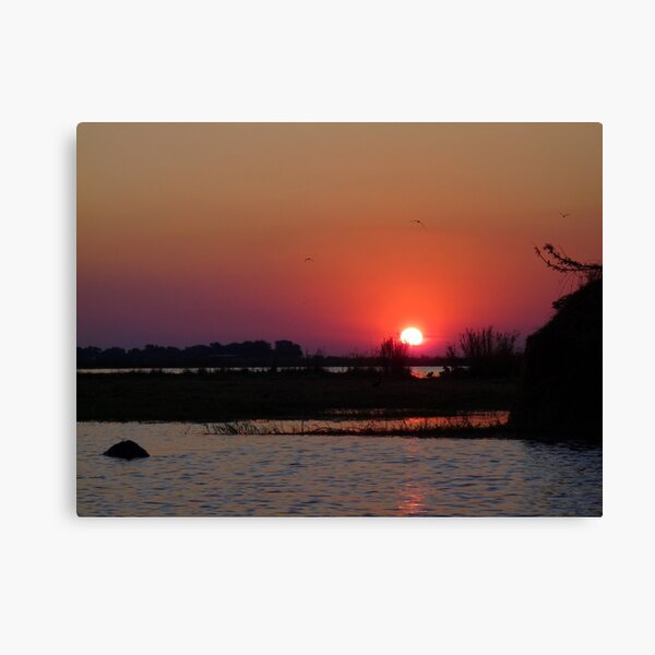 Vista previa del artículo con la obra «Purple Haze - Atardecer en el río Chobe», diseñado y vendido por pennies4eles.