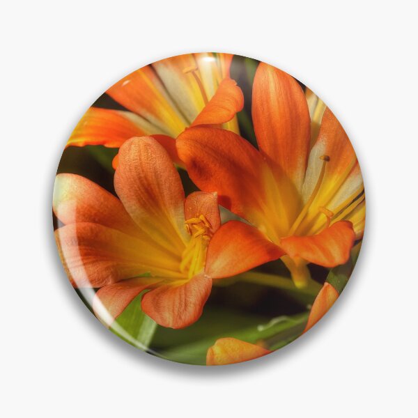 Item preview, Clivia Miniata designed and sold by paolo1955.