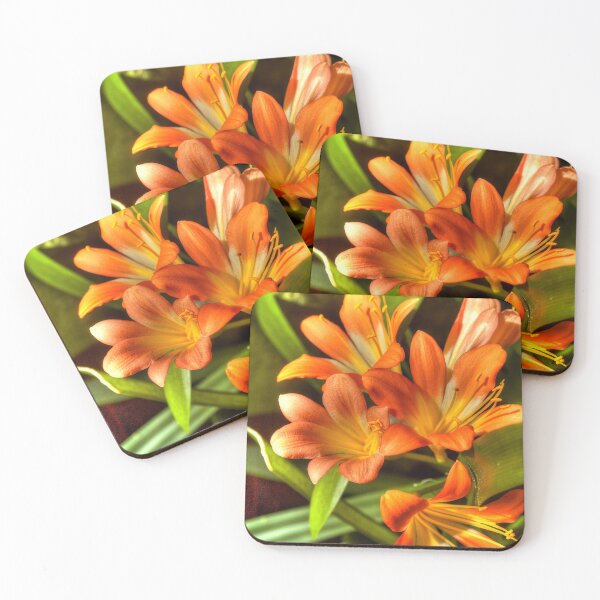 Item preview, Clivia Miniata designed and sold by paolo1955.