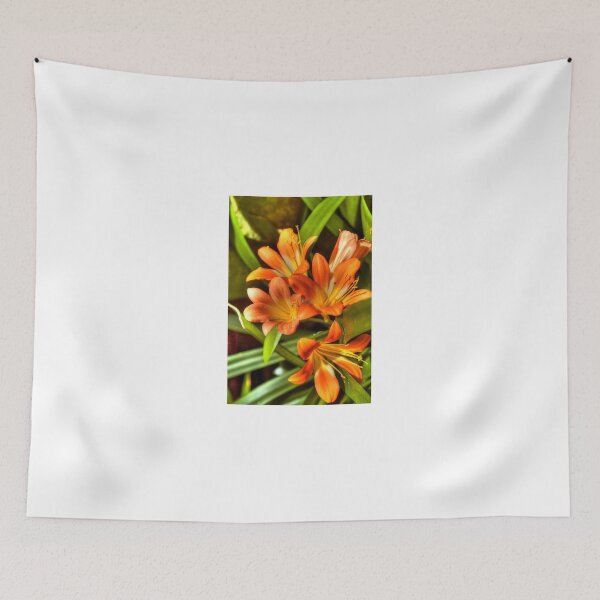 Item preview, Clivia Miniata designed and sold by paolo1955.