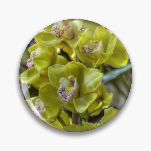Item preview, Cymbidyum. designed and sold by paolo1955.