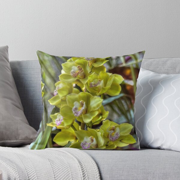 Item preview, Cymbidyum. designed and sold by paolo1955.
