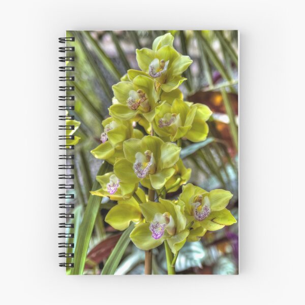 Item preview, Cymbidyum. designed and sold by paolo1955.