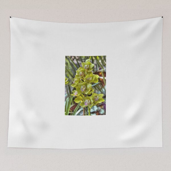 Item preview, Cymbidyum. designed and sold by paolo1955.