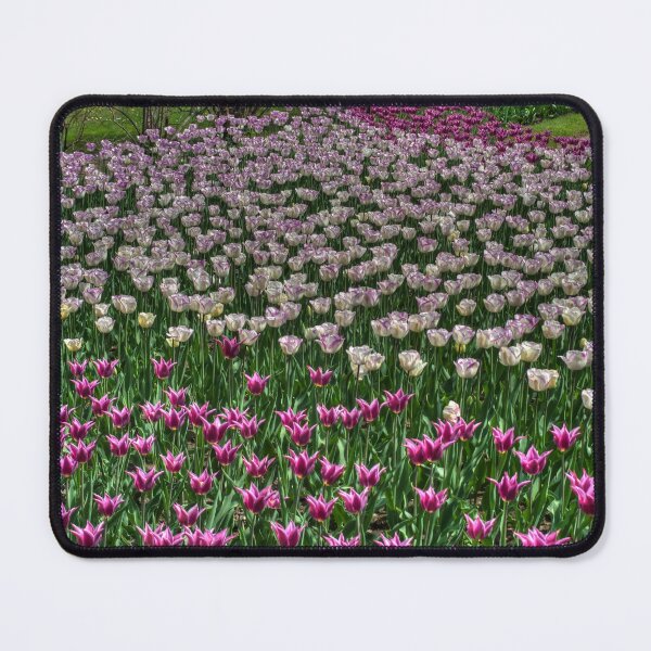 Item preview, Spettacular Spring Border designed and sold by paolo1955.