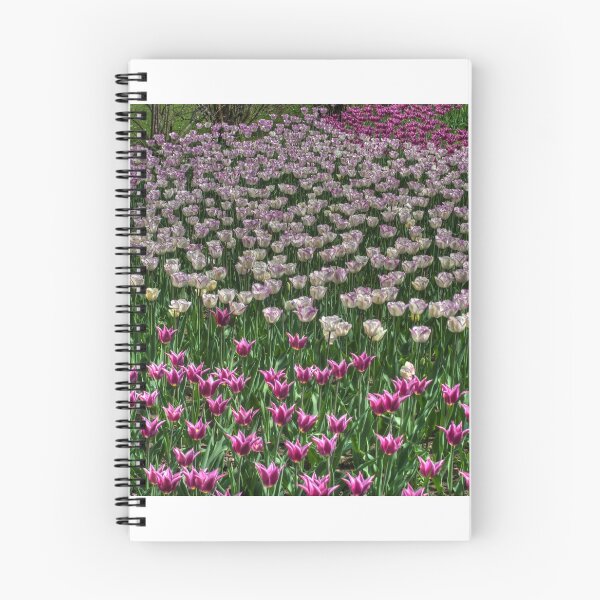 Item preview, Spettacular Spring Border designed and sold by paolo1955.