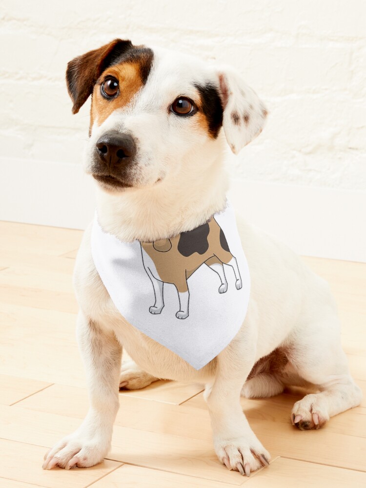 Beagle bandana best sale