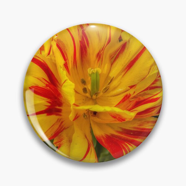 Item preview, Tulip Monsella designed and sold by paolo1955.