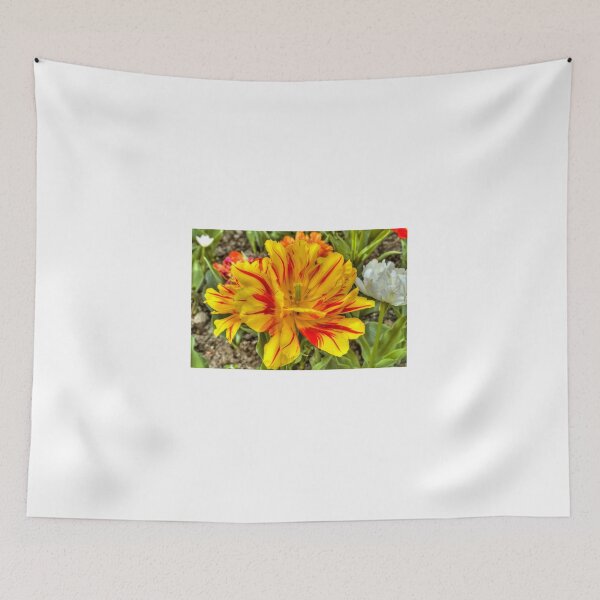 Item preview, Tulip Monsella designed and sold by paolo1955.