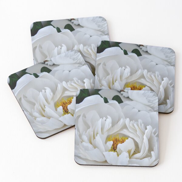 Item preview, White blossoming peonies designed and sold by BrightMeadowart.