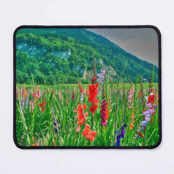 Item preview, Gladiolus Fields designed and sold by paolo1955.