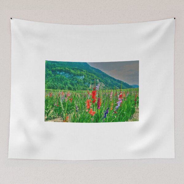 Item preview, Gladiolus Fields designed and sold by paolo1955.