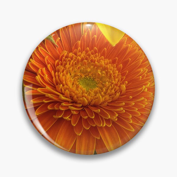 Item preview, Gerbera designed and sold by paolo1955.