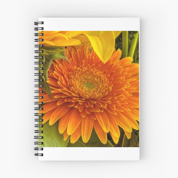 Item preview, Gerbera designed and sold by paolo1955.