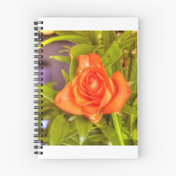 Item preview, Orange Beauty designed and sold by paolo1955.