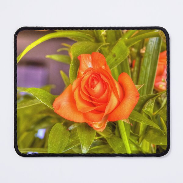 Item preview, Orange Beauty designed and sold by paolo1955.