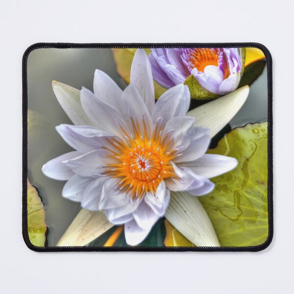 Item preview, Water Lilies designed and sold by paolo1955.
