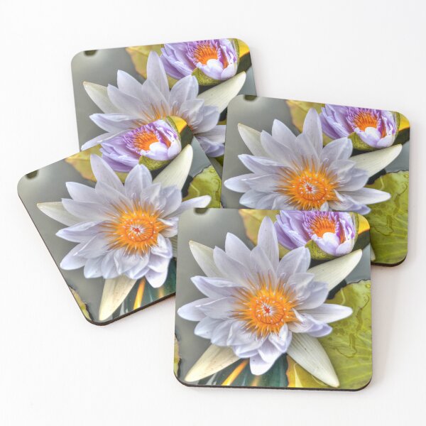 Item preview, Water Lilies designed and sold by paolo1955.