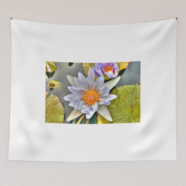 Item preview, Water Lilies designed and sold by paolo1955.
