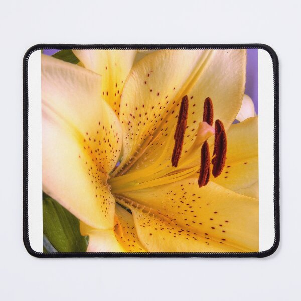 Item preview, Yellow Lily designed and sold by paolo1955.