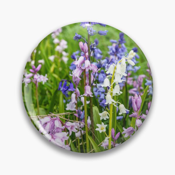 Item preview, Bluebells, Pink, White And Blue designed and sold by Paul Thompson Photography.
