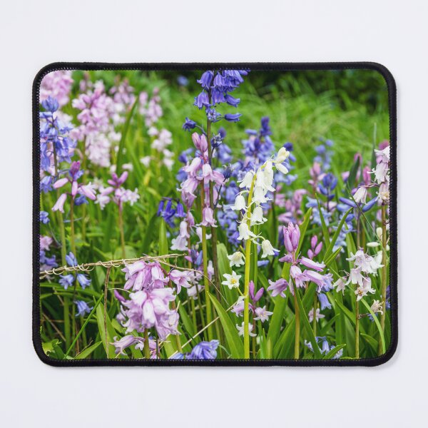 Item preview, Bluebells, Pink, White And Blue designed and sold by Paul Thompson Photography.