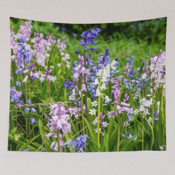 Item preview, Bluebells, Pink, White And Blue designed and sold by Paul Thompson Photography.