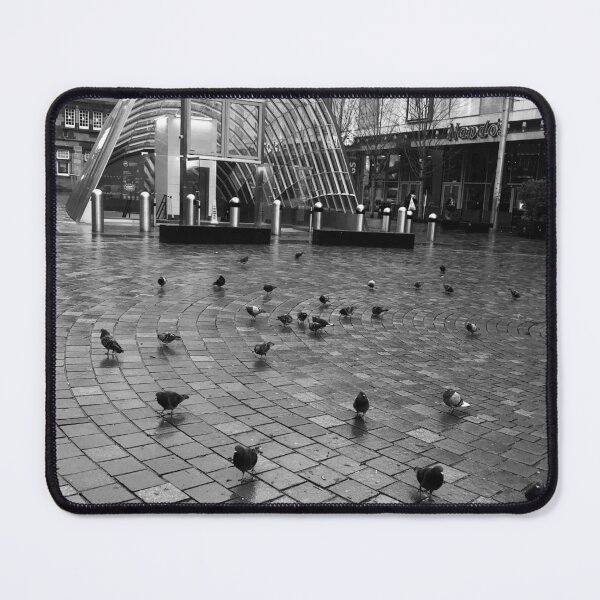 Item preview, Pigeons outside St Enoch Subway Station designed and sold by eriksownphoto.