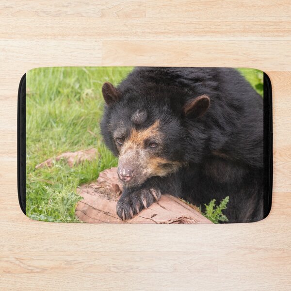 Item preview, I Can't Bear To Move Today designed and sold by HollieGPhotos.