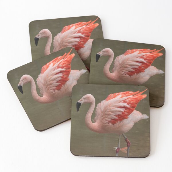 Item preview, Shake Your Tail Feathers designed and sold by HollieGPhotos.