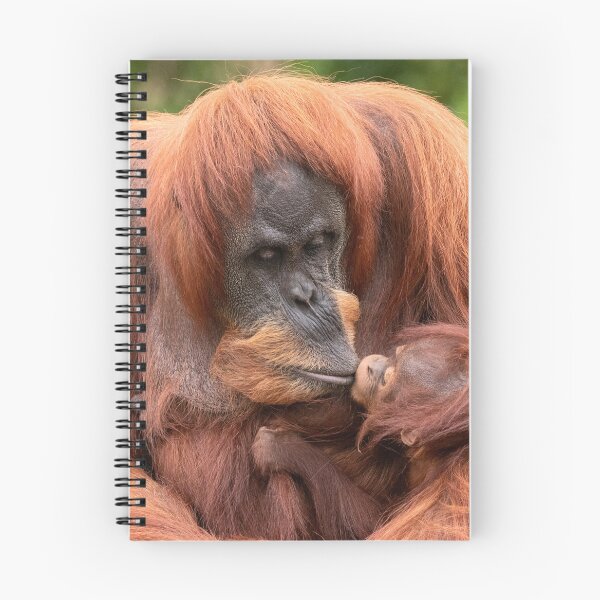 Item preview, A Kiss For Mummy designed and sold by HollieGPhotos.