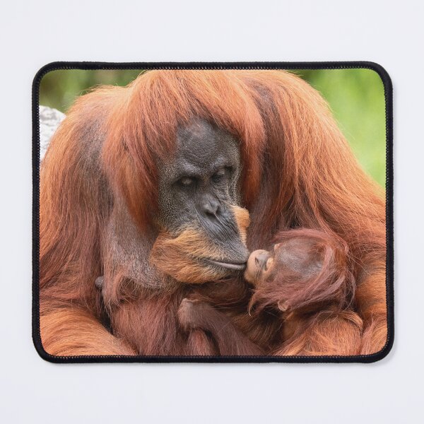 Item preview, A Kiss For Mummy designed and sold by HollieGPhotos.
