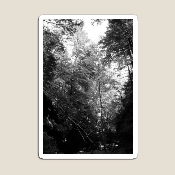 Item preview, Turkey Run - BW - En el camino designed and sold by CreativeAD.