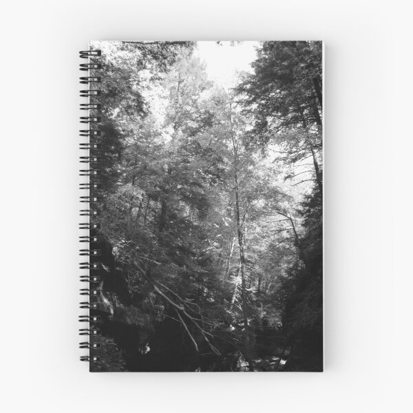 Artikelvorschau, Truthahnlauf - BW - Auf dem Weg entworfen und verkauft von CreativeAD.