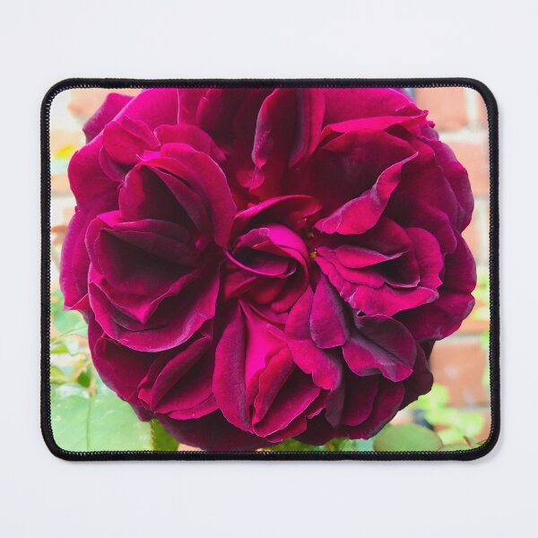 Item preview, Deep red rose designed and sold by PeggyCarey.