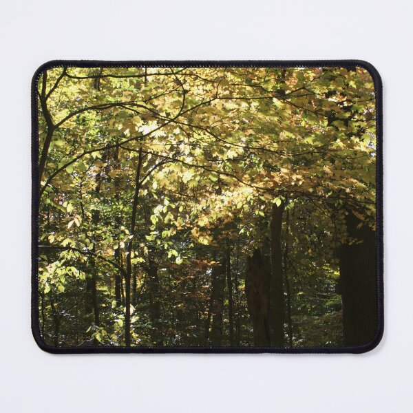 Item preview, Turkey Run - Color - Fall Walk designed and sold by CreativeAD.