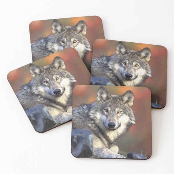 Item preview, Wolf designed and sold by ReljaX.