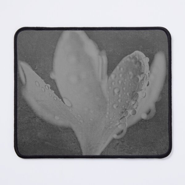 Item preview, Silence Gathers designed and sold by Denise Abé.