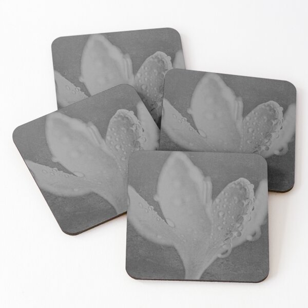 Item preview, Silence Gathers designed and sold by Denise Abé.