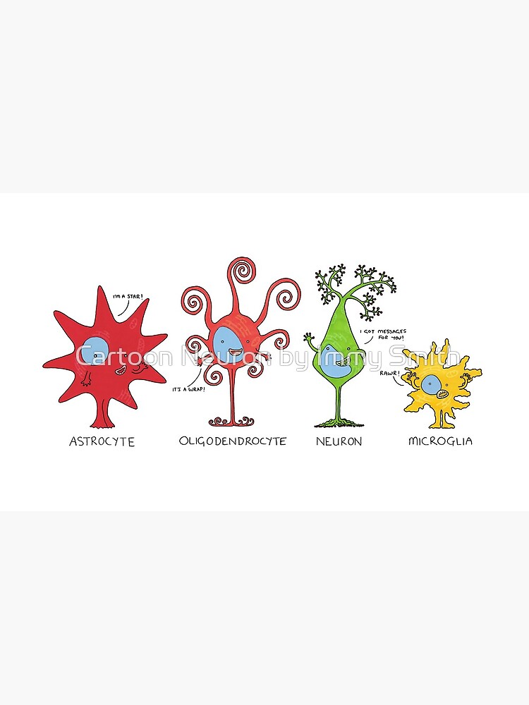 Meet your brain cells! - WIDE by Immy